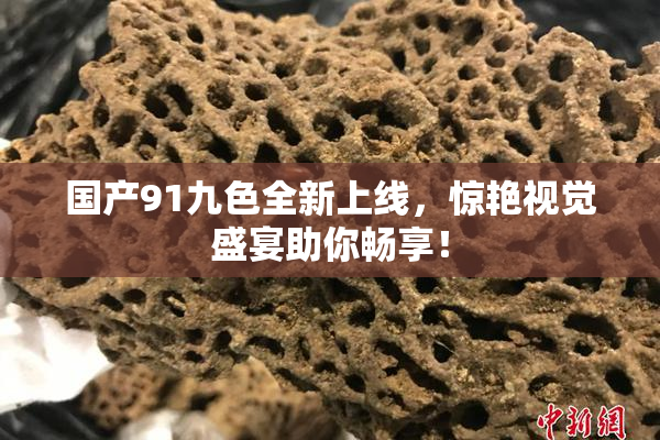 国产91九色全新上线，惊艳视觉盛宴助你畅享！