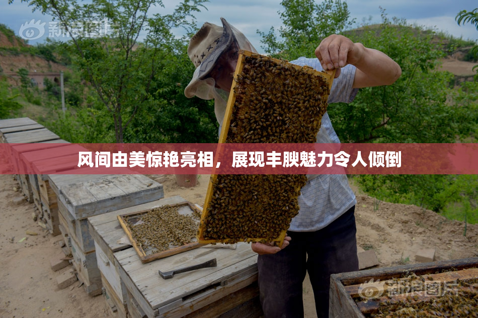 风间由美惊艳亮相，展现丰腴魅力令人倾倒