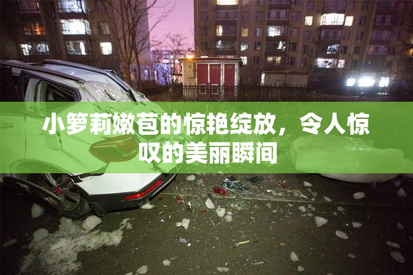 小箩莉嫩苞的惊艳绽放，令人惊叹的美丽瞬间