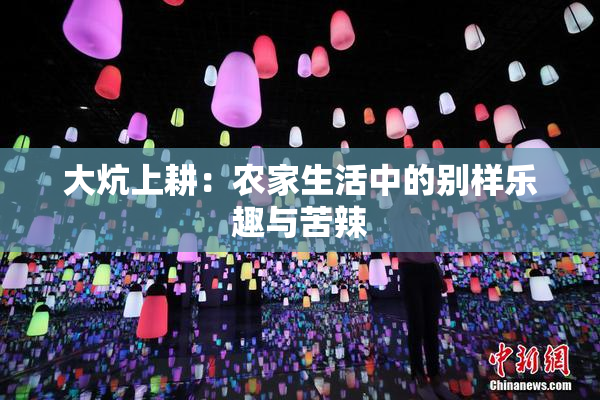 大炕上耕：农家生活中的别样乐趣与苦辣