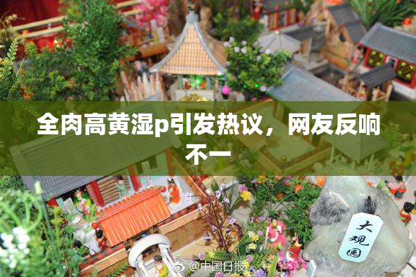 全肉高黄湿p引发热议，网友反响不一
