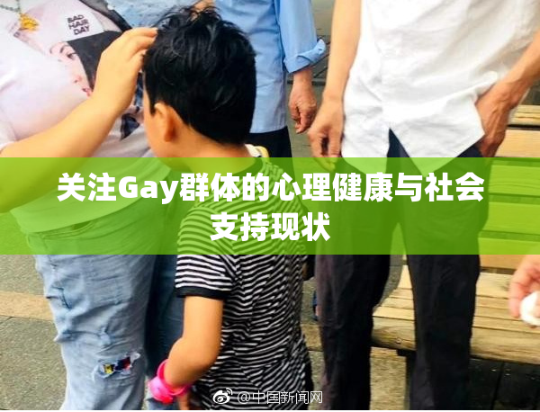 关注Gay群体的心理健康与社会支持现状