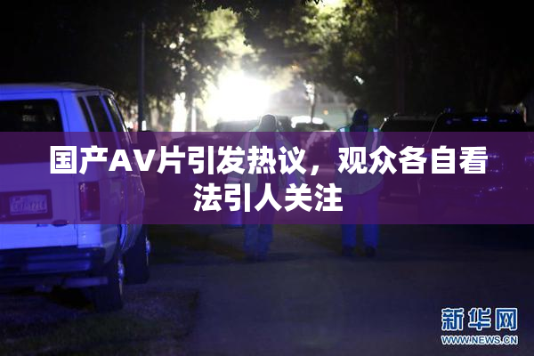 国产AV片引发热议，观众各自看法引人关注