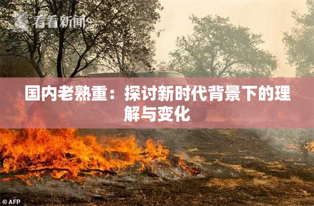 国内老熟重：探讨新时代背景下的理解与变化