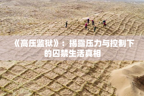 《高压监狱》：揭露压力与控制下的囚禁生活真相