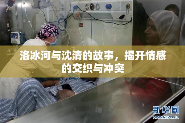 洛冰河与沈清的故事，揭开情感的交织与冲突