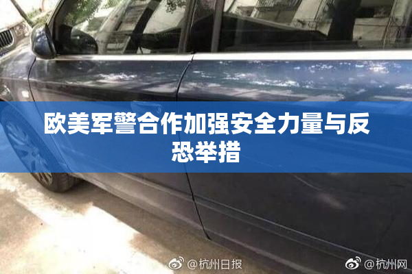 欧美军警合作加强安全力量与反恐举措