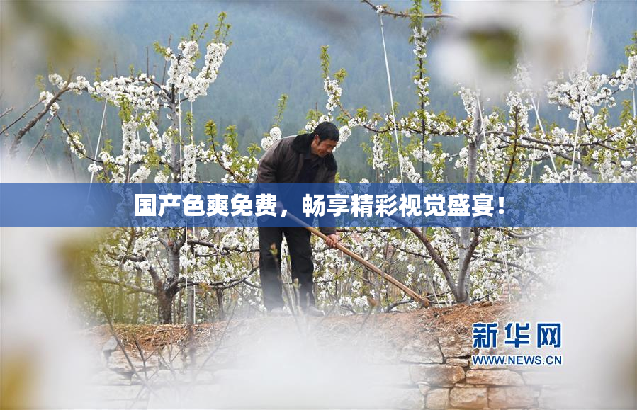 国产色爽免费，畅享精彩视觉盛宴！