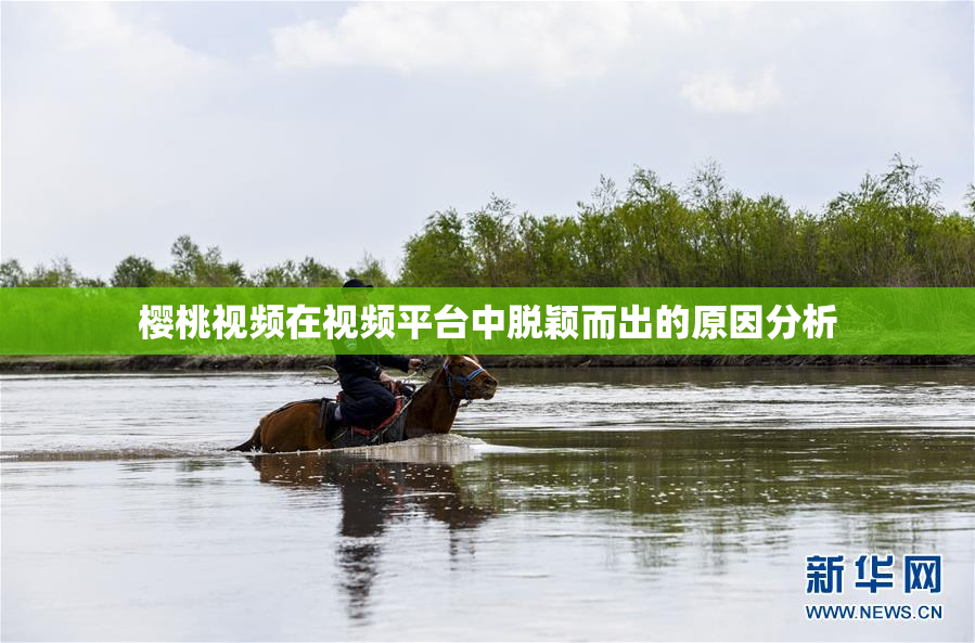 樱桃视频在视频平台中脱颖而出的原因分析
