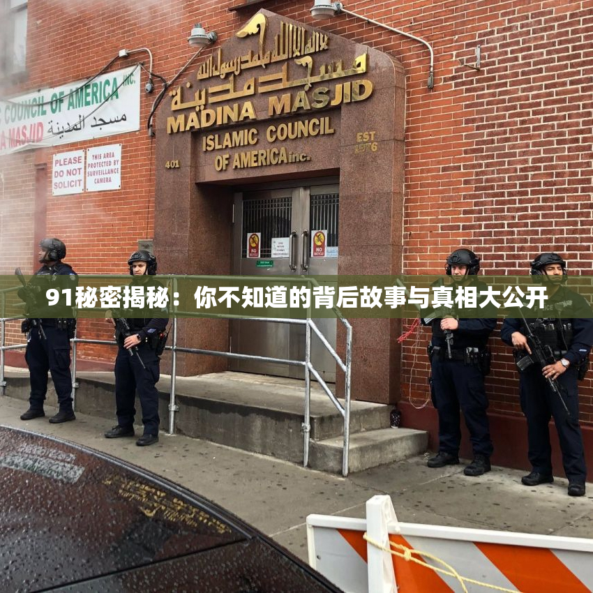 91秘密揭秘：你不知道的背后故事与真相大公开