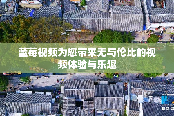 蓝莓视频为您带来无与伦比的视频体验与乐趣