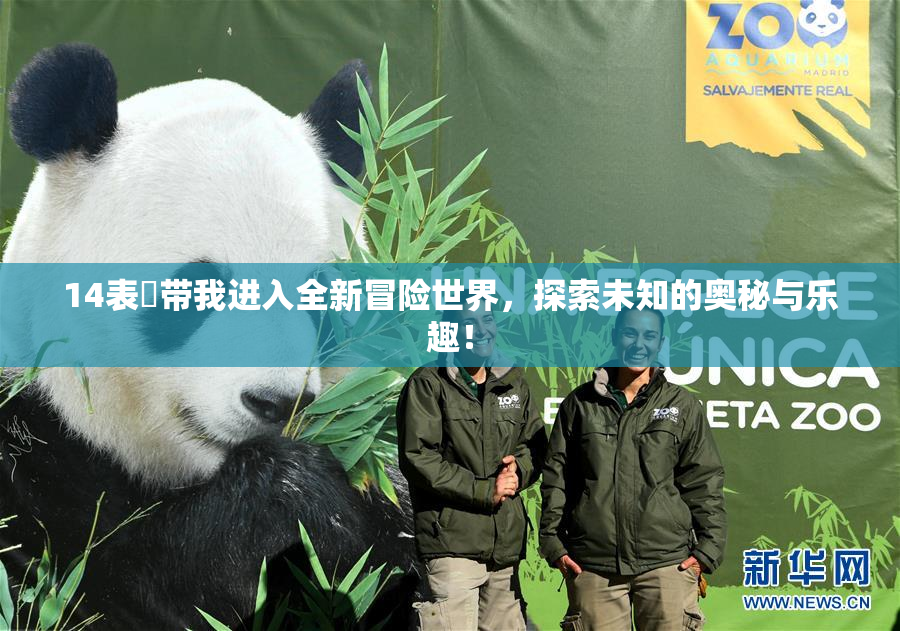 14表妺带我进入全新冒险世界，探索未知的奥秘与乐趣！