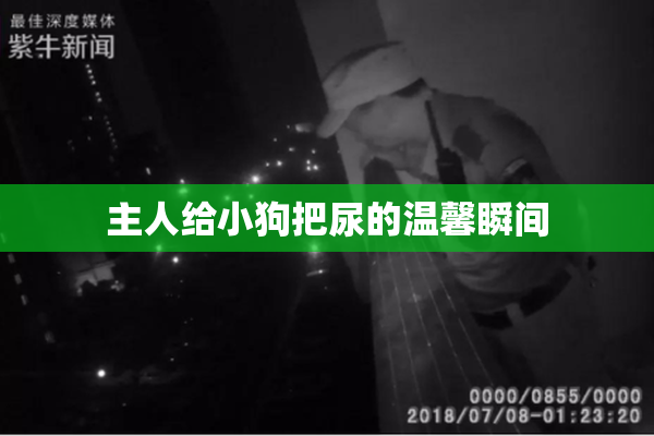 主人给小狗把尿的温馨瞬间