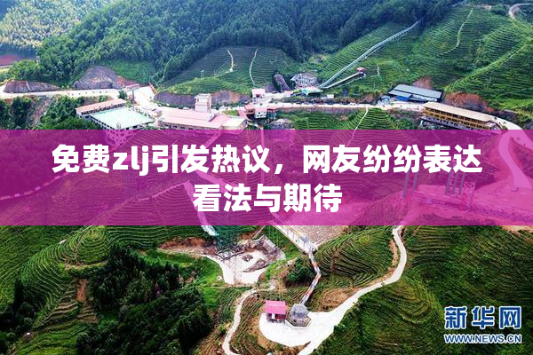 免费zlj引发热议，网友纷纷表达看法与期待