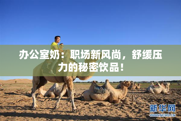 办公室奶：职场新风尚，舒缓压力的秘密饮品！