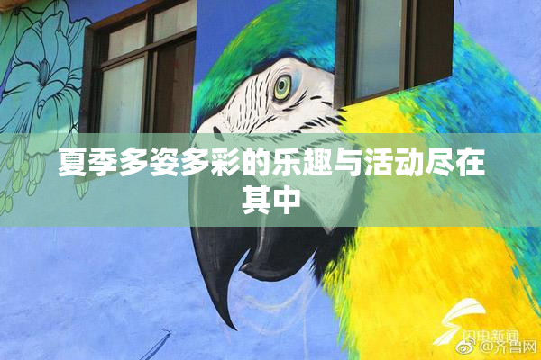 夏季多姿多彩的乐趣与活动尽在其中