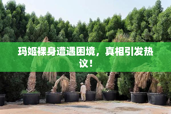 玛姬裸身遭遇困境，真相引发热议！