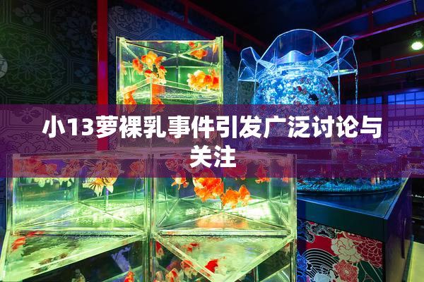 小13萝裸乳事件引发广泛讨论与关注