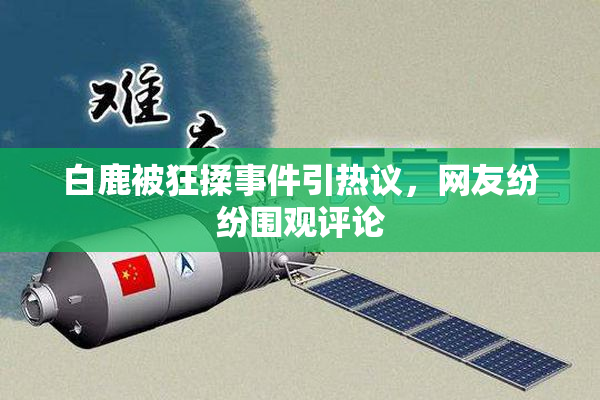 白鹿被狂揉事件引热议，网友纷纷围观评论