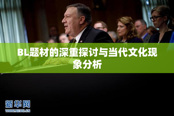 BL题材的深重探讨与当代文化现象分析