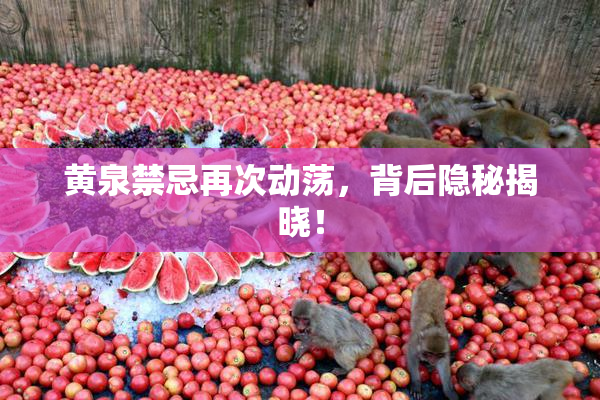 黄泉禁忌再次动荡，背后隐秘揭晓！