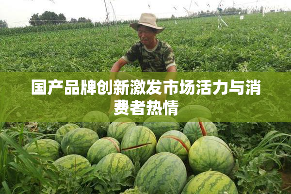国产品牌创新激发市场活力与消费者热情