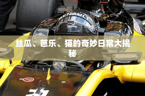 丝瓜、芭乐、猫的奇妙日常大揭秘