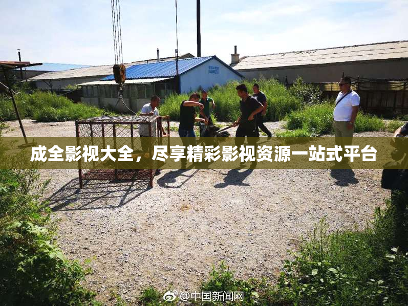 成全影视大全，尽享精彩影视资源一站式平台