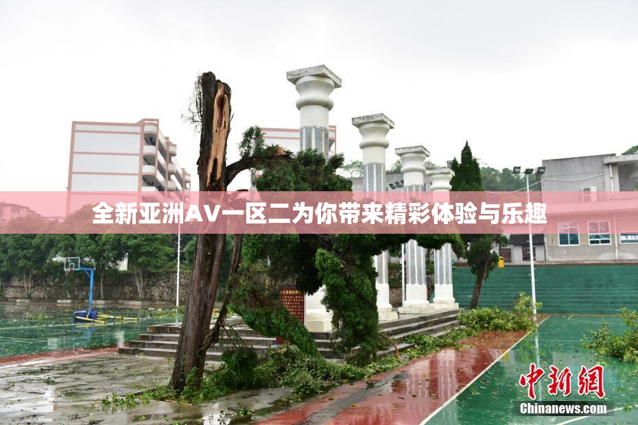 全新亚洲AV一区二为你带来精彩体验与乐趣