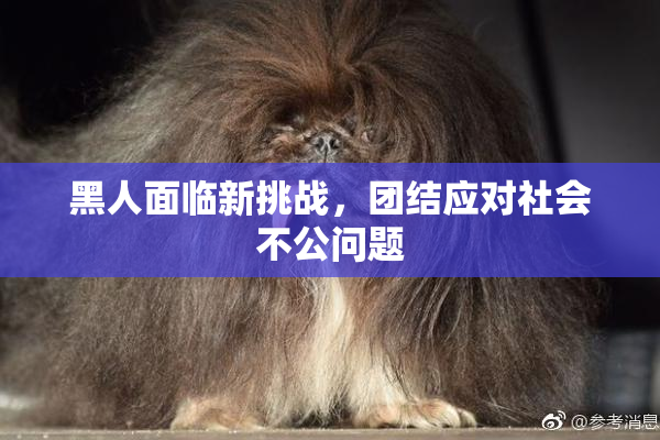 黑人面临新挑战，团结应对社会不公问题