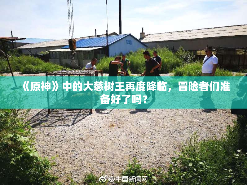 《原神》中的大慈树王再度降临，冒险者们准备好了吗？