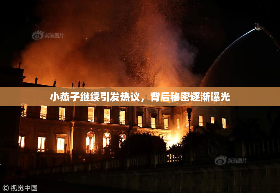 小燕子继续引发热议，背后秘密逐渐曝光