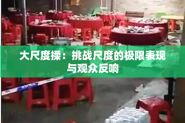 大尺度揉：挑战尺度的极限表现与观众反响