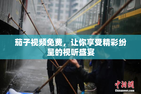 茄子视频免费，让你享受精彩纷呈的视听盛宴