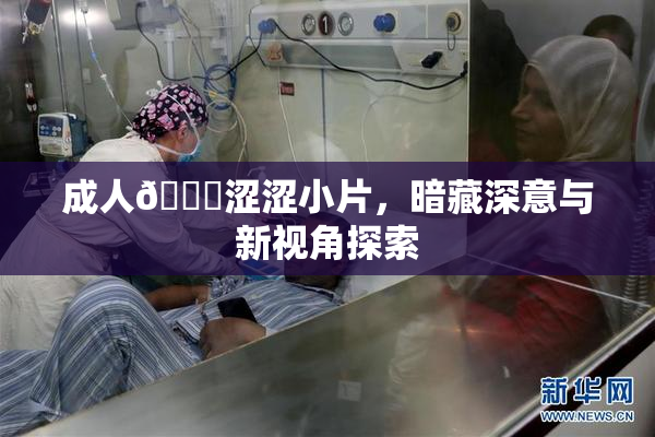 成人🔞涩涩小片，暗藏深意与新视角探索