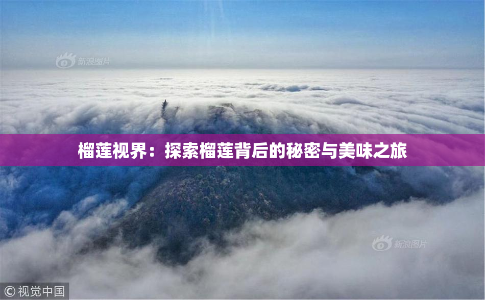 榴莲视界：探索榴莲背后的秘密与美味之旅