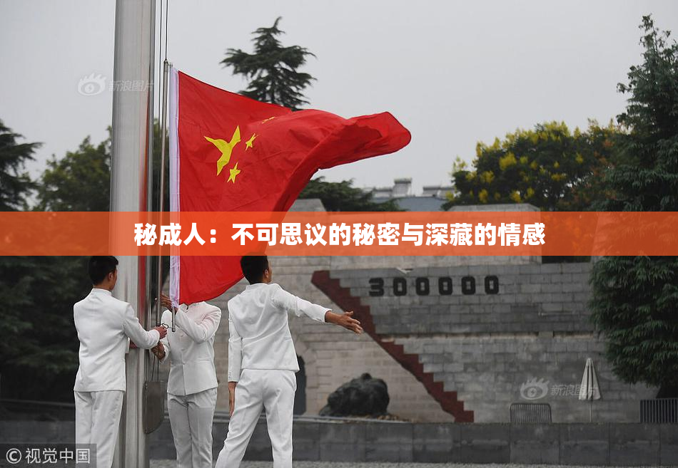 秘成人：不可思议的秘密与深藏的情感