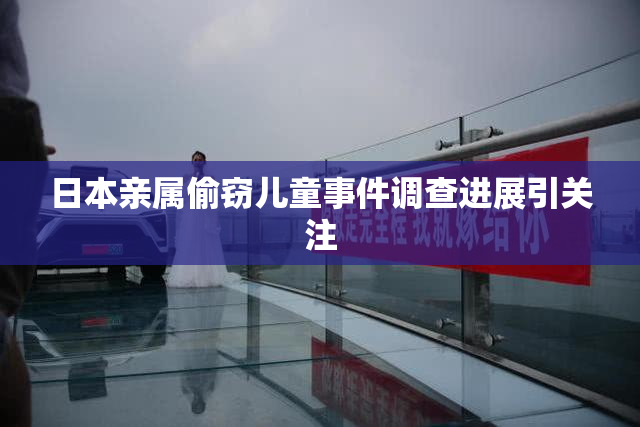 日本亲属偷窃儿童事件调查进展引关注