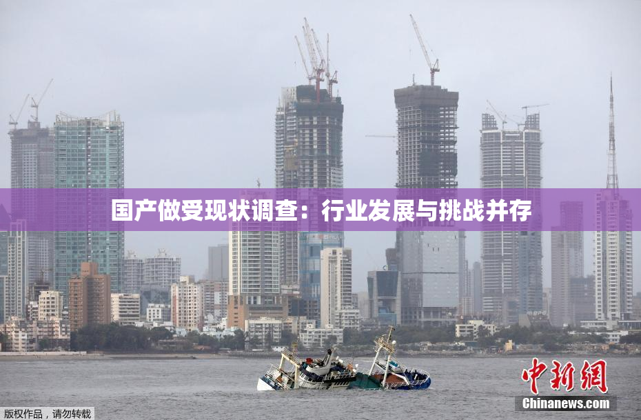 国产做受现状调查：行业发展与挑战并存