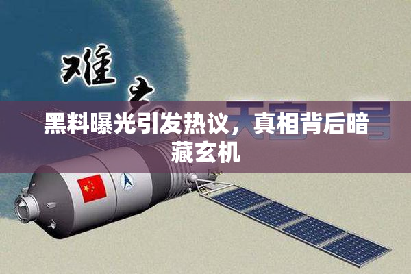 黑料曝光引发热议，真相背后暗藏玄机