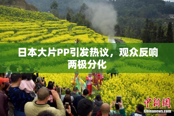 日本大片PP引发热议，观众反响两极分化