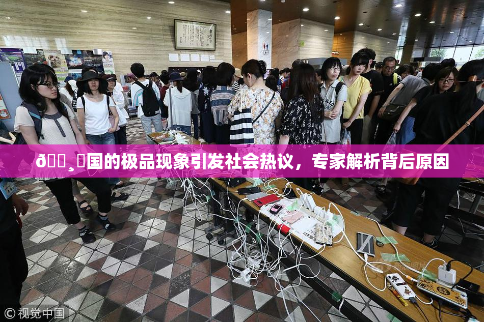 🌸‌国的极品现象引发社会热议，专家解析背后原因