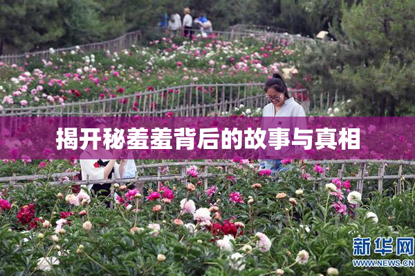 揭开秘羞羞背后的故事与真相
