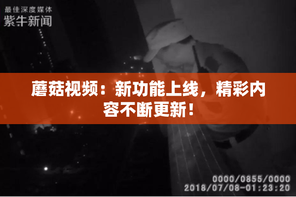 蘑菇视频：新功能上线，精彩内容不断更新！