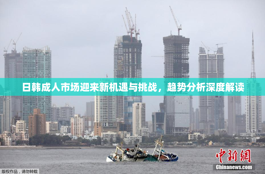 日韩成人市场迎来新机遇与挑战，趋势分析深度解读