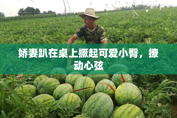 娇妻趴在桌上撅起可爱小臀，撩动心弦