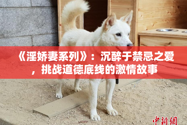 《淫娇妻系列》：沉醉于禁忌之爱，挑战道德底线的激情故事