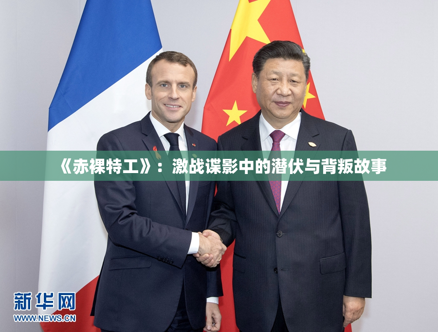 《赤裸特工》：激战谍影中的潜伏与背叛故事