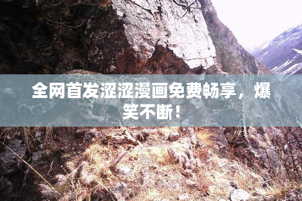 全网首发涩涩漫画免费畅享，爆笑不断！