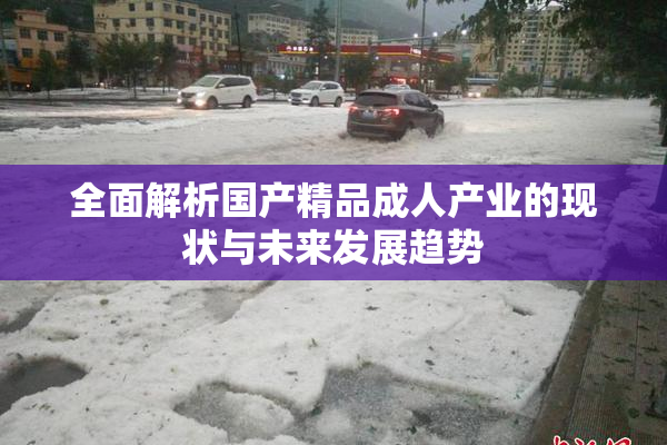 全面解析国产精品成人产业的现状与未来发展趋势